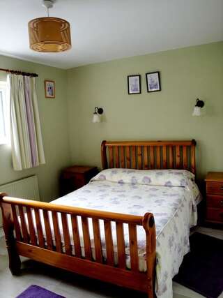 Отели типа «постель и завтрак» Ardrinane House Annascaul Двухместный номер с 1 кроватью-1